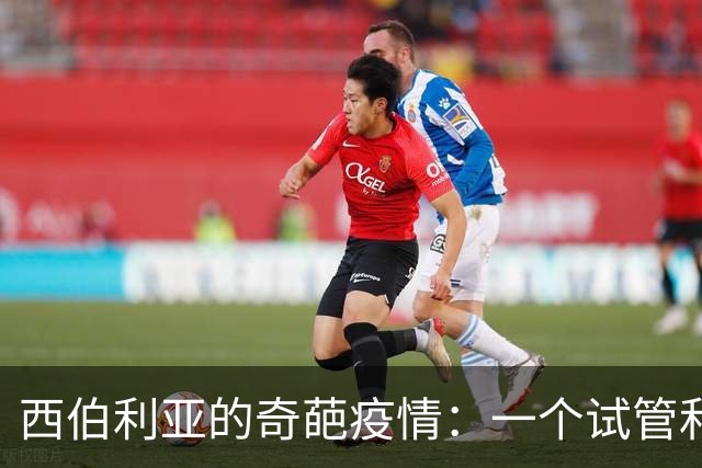 西伯利亚的奇葩疫情：一个试管和一场恐慌